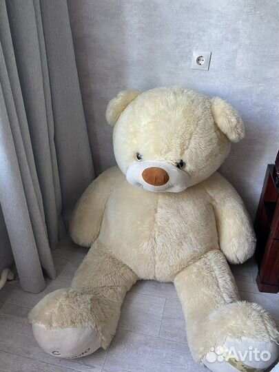 Плюшевый медведь