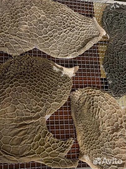 Субпродукты и сушеные лакомства для собак