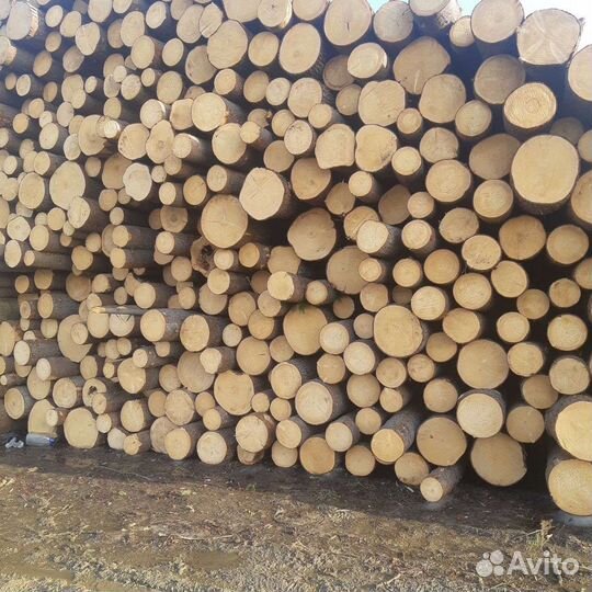 Лес кругляк пиловочник