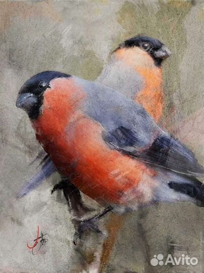 Певчие птицы