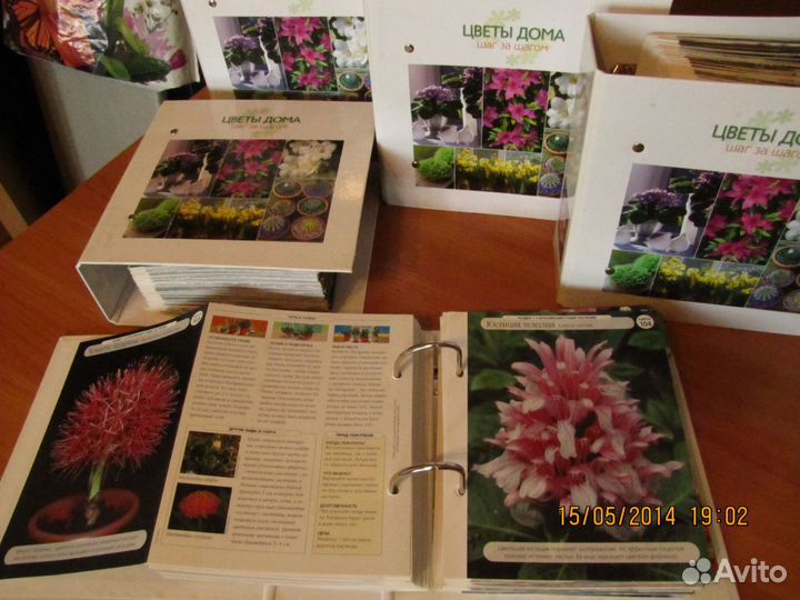 Цветоводство