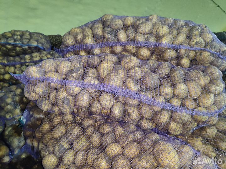 Продам картофель 2 урожай