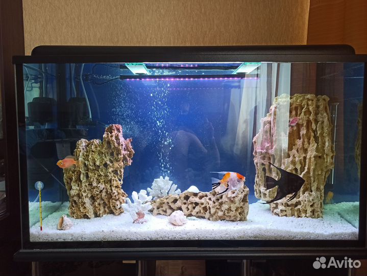 Аквариум 220 литров