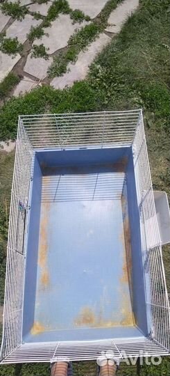 Клетка без верха