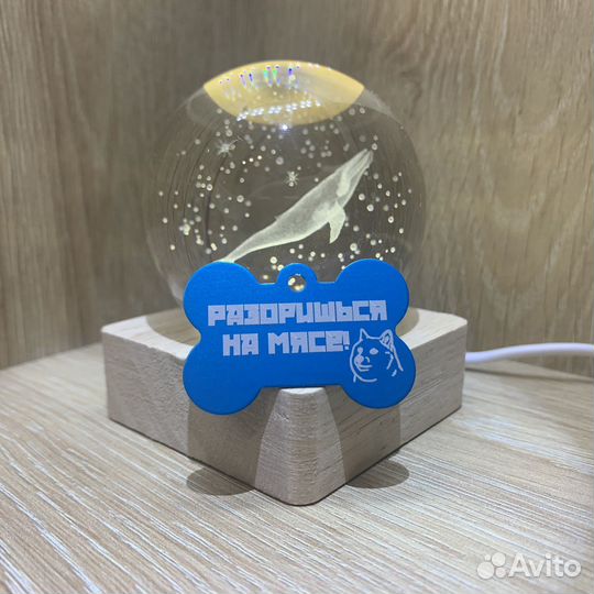 Адресники для кошек и собак