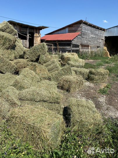 Пресс подборщик тюковый