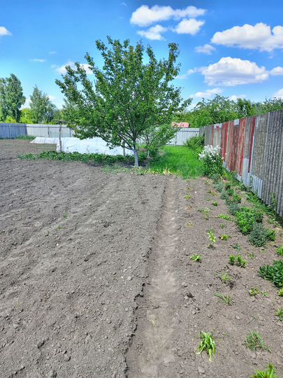 Участок 6 сот. (СНТ, ДНП)