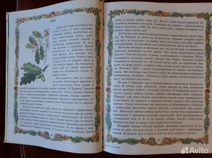 Книга Азбука Живой природы