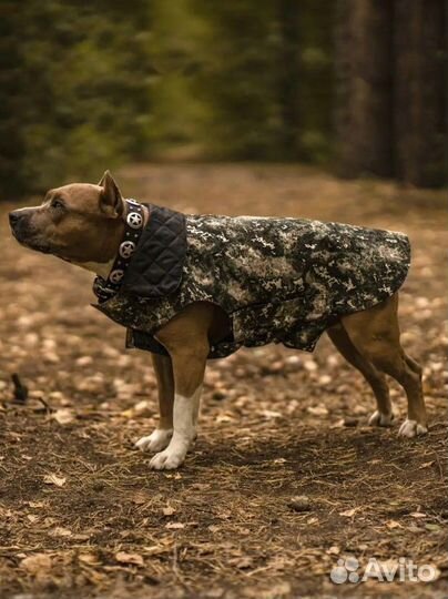 Попона для собак, куртка комбинезон