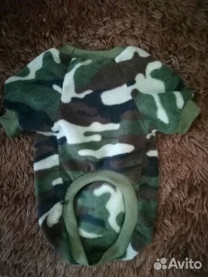 Одежда для животных