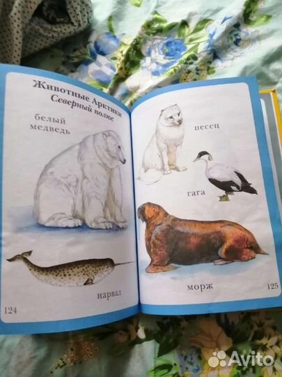 Книга детская