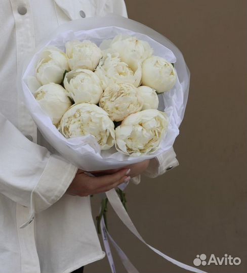 Пионы белые