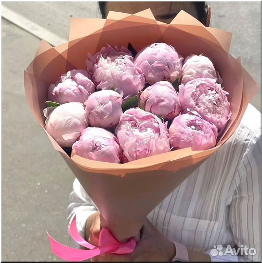 Пионы, Цветы 51