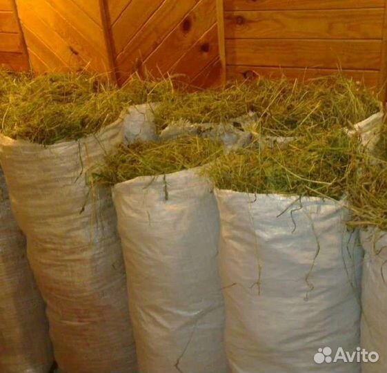 Солома овсяная