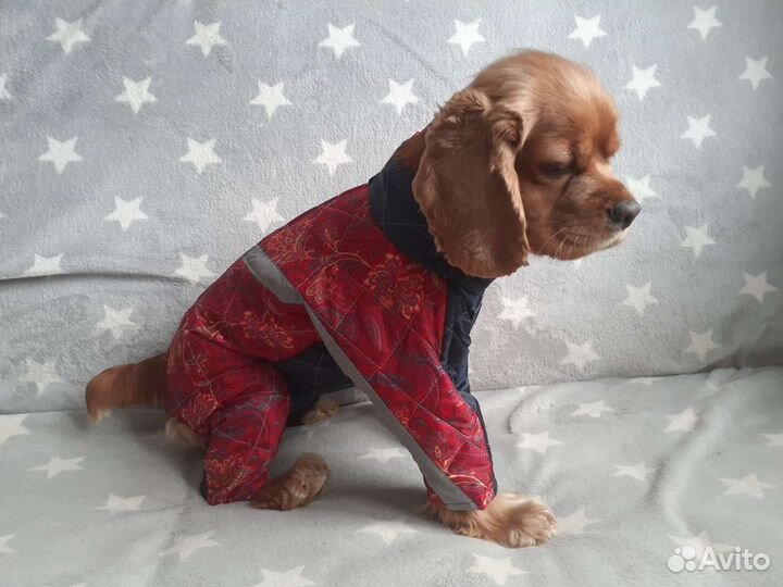 Новые комбинезоны для средних и крупных собак