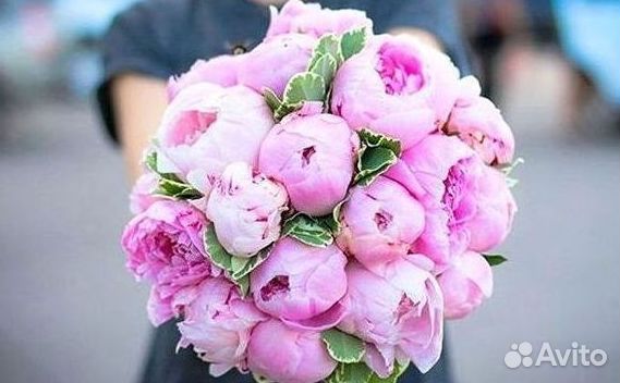 Пионы Розы Доставка