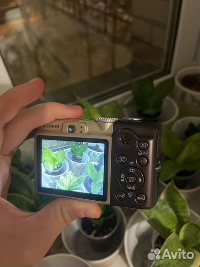 Цифровой фотоаппарат canon powershot a1000is