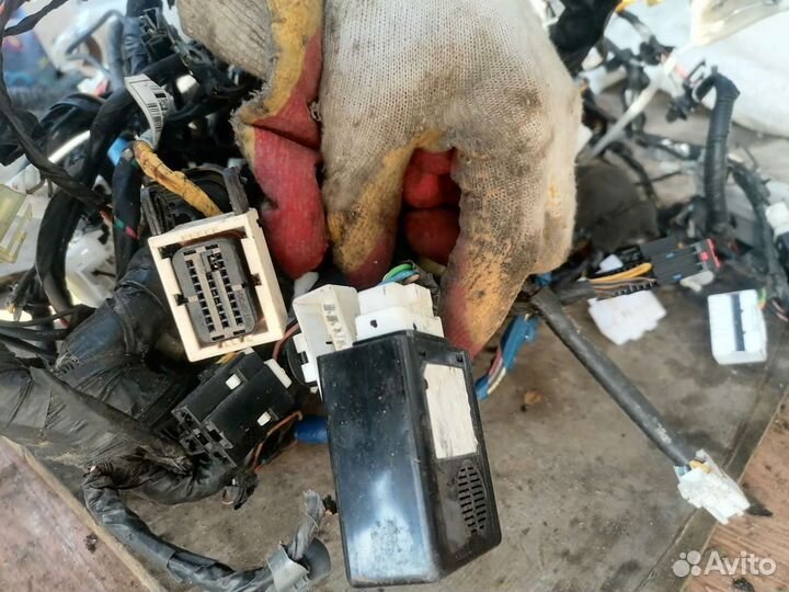 Проводка салона киа Рио 3 15г 1.4 ат