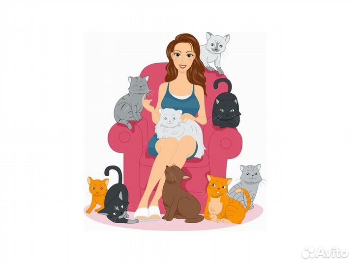 Котоняня. Уход за кошкой на время отпуска