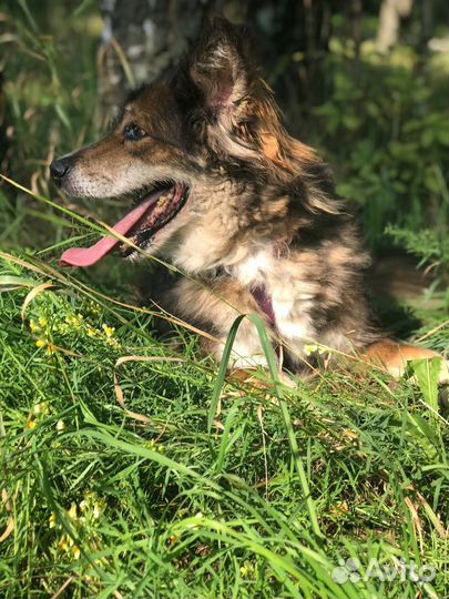 10 лет за решеткой