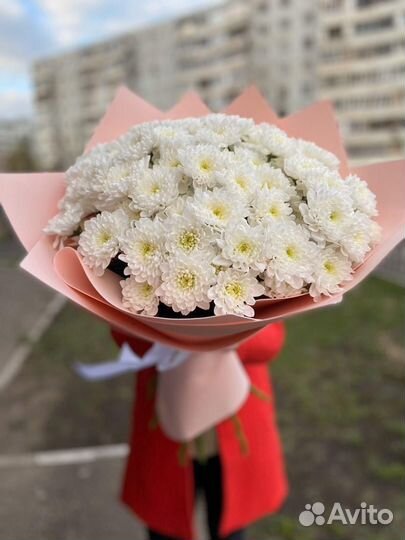 Хризантемы. Доставка букетов, цветы Казань