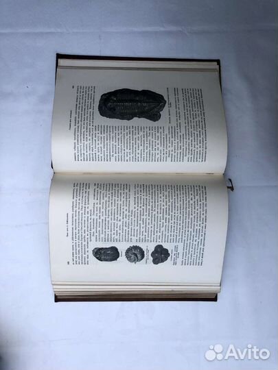 Вселенная и человечество Том 2 (II)