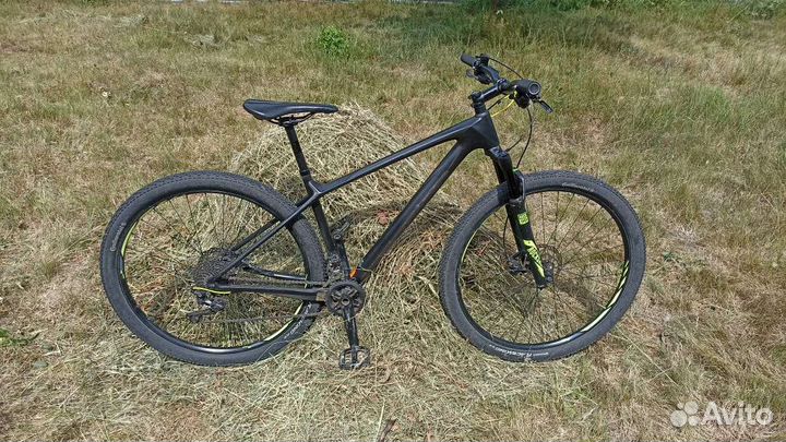 Focus Raven Elite 29