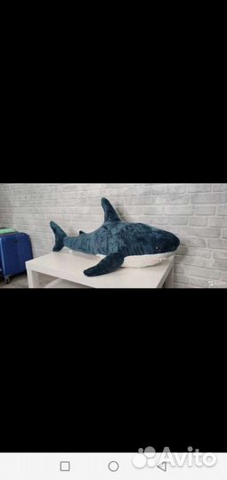 Новая Акула