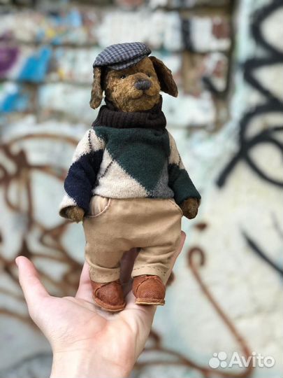 Тедди собака