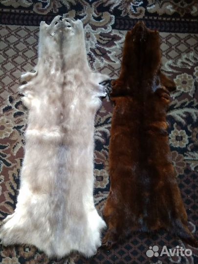 Шкурки норки