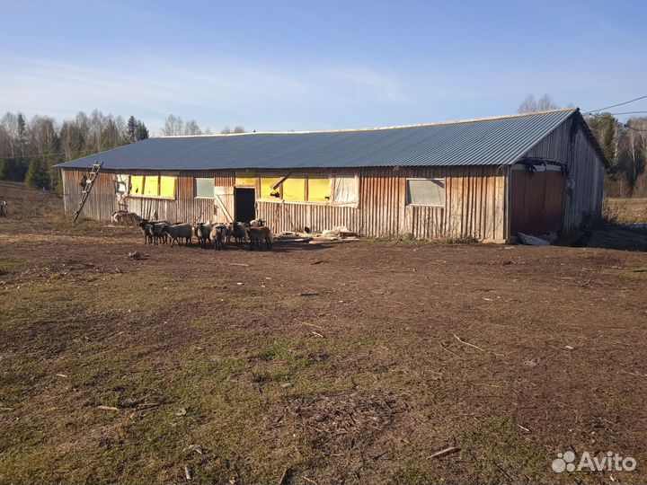 Фермерское хозяйство