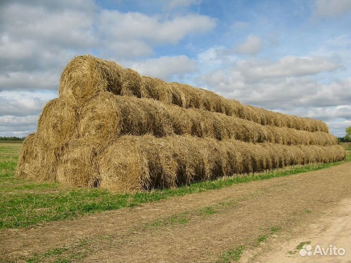 Сено луговое, солома - Ратманово