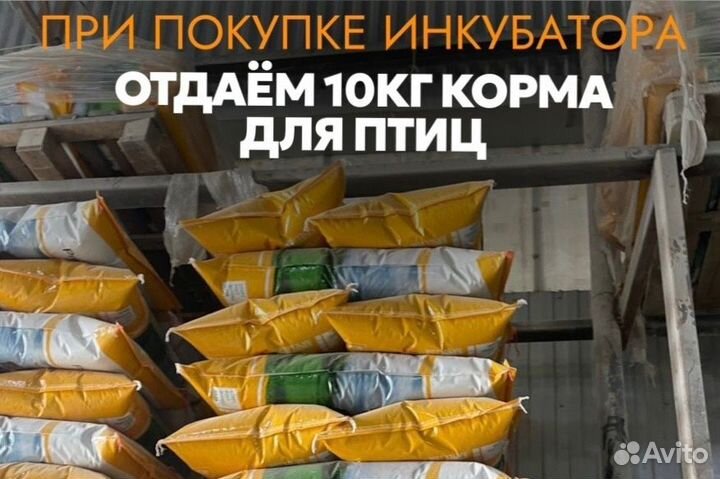 Инкубатор на 77 яиц