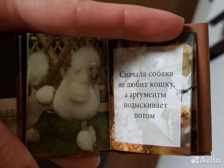 Мини-книжка про собак
