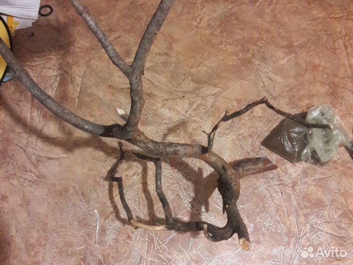 Дизайн коряга для дизайна толстая