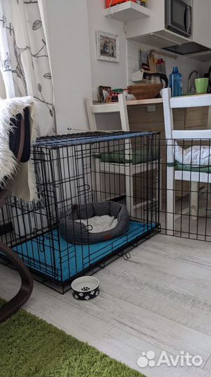 Клетка дом животных, аренда