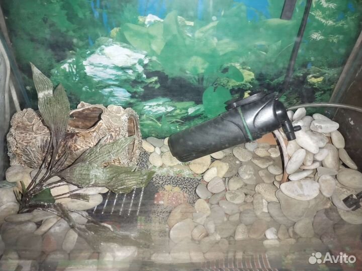 Аквариум на 60 литров, в полной комплектации