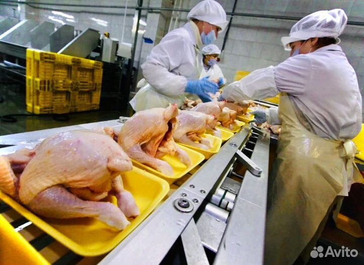 Вахта Белгород Проживание Питание Упаковщик-ца