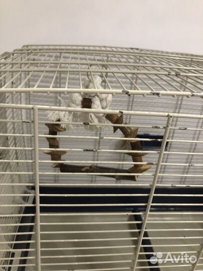 Клетка для попугая