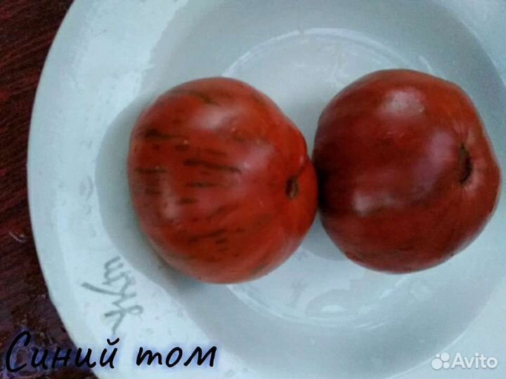 Коллекционные семена сорта томатов помидоров