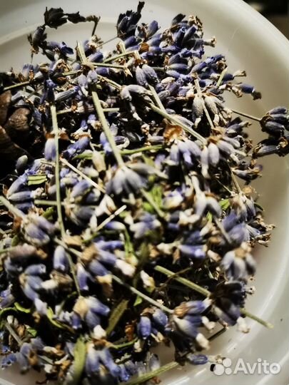 Лаванда сухоцвет, россыпь