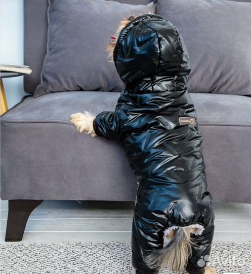 Комбинезон для собак