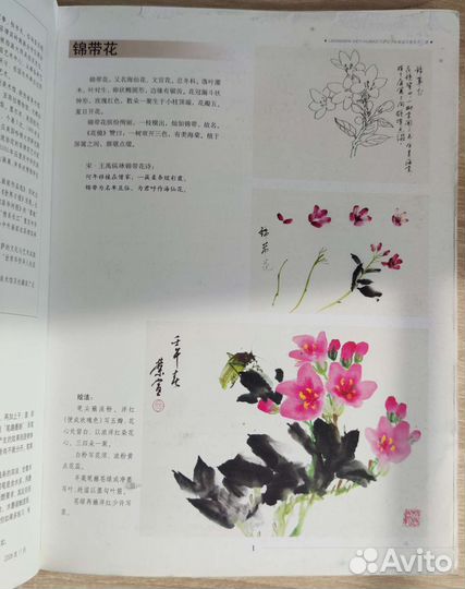 Цветы в китайской живописи