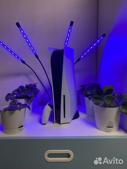 Sony playstation 5 ps5 с дисководом