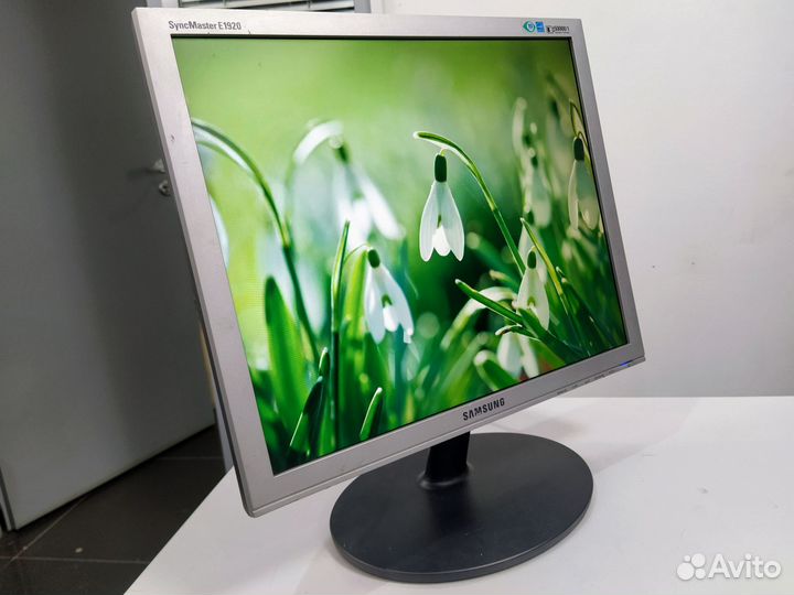 Монитор Samsung SyncMaster 19 