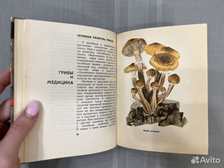 Шульга Карклина Грибы наших лесов 1966