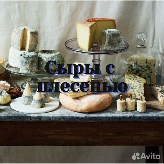 Сыры с плесенью Мягкие сыры с плесенью