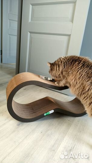 Когтеточка лежанка для кошек Тумяу Айс