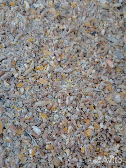 Птичий корм