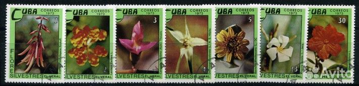 Растения, флора